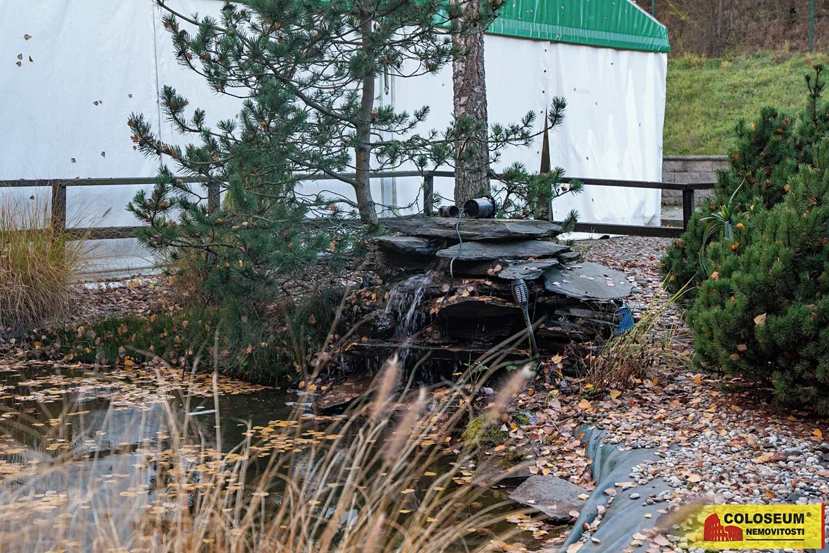 Fotka 14 z 22